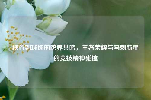 峡谷到球场的跨界共鸣,王者荣耀与马刺新星的竞技精神碰撞