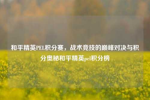 和平精英PEL积分赛,战术竞技的巅峰对决与积分奥秘和平精英pel积分榜