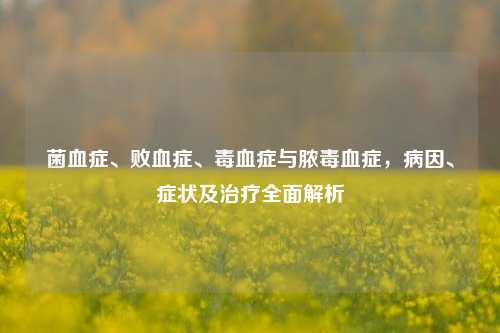 菌血症、败血症、毒血症与脓毒血症,病因、症状及治疗全面解析