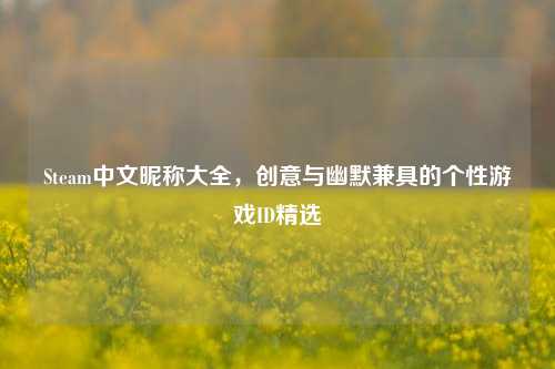Steam中文昵称大全,创意与幽默兼具的个性游戏ID精选