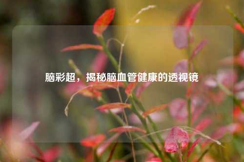 脑彩超,揭秘脑血管健康的透视镜